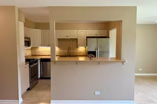 6S010 Steeple Run Dr, Naperville, IL 60540 - Photo 10