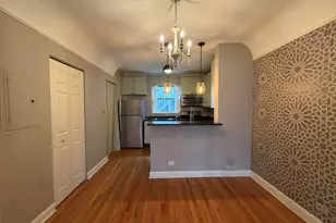 336 S Maple Ave, Oak Park, IL 60302 - Photo 4