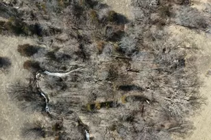 00 Spring Valley Rd, Fulton, IL 61252 - Photo 4