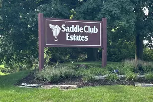 603 Arlington Pkwy, Sleepy Hollow, IL 60118 - Photo 46