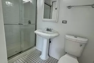 1117 Leavitt Ave, Flossmoor, IL 60422 - Photo 8