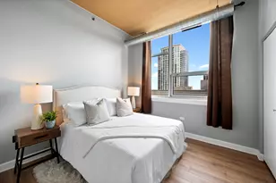 1305 S Michigan Ave, Chicago, IL 60605 - Photo 18