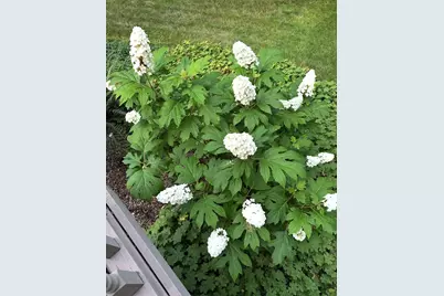 4N609 Pheasant Run Drive, Saint Charles, IL 60175 - Photo 44