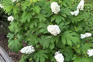 4N609 Pheasant Run Dr, Saint Charles, IL 60175 - Photo 44