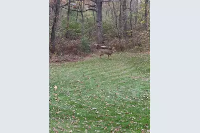 4N609 Pheasant Run Drive, Saint Charles, IL 60175 - Photo 40