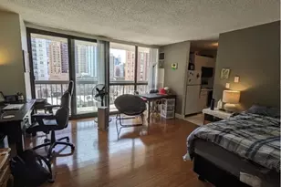 33 W Delaware Pl, Chicago, IL 60610 - Photo 4