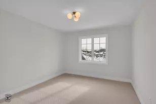 8858 Buffington Breakwater Dr, Frankfort, IL 60423 - Photo 42