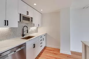 1910 S Indiana Ave, Chicago, IL 60616 - Photo 8