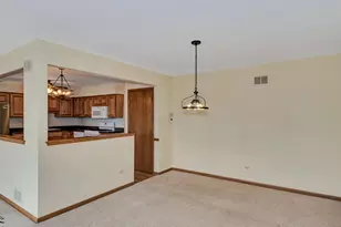 10642 Melissa Dr, Orland Park, IL 60467 - Photo 8