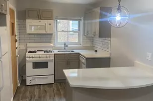 7361 N Ridge Blvd, Chicago, IL 60645 - Photo 8