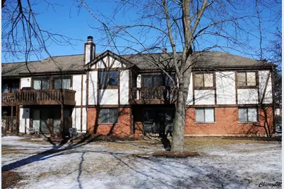 1327 Williamsburg Drive #B2, Schaumburg, IL 60193 - Photo 2