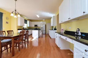 233 W Olmsted Ln, Round Lake, IL 60073 - Photo 18