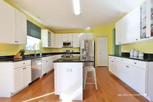 233 W Olmsted Ln, Round Lake, IL 60073 - Photo 10