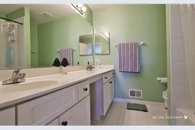 233 W Olmsted Lane, Round Lake, IL 60073 - Photo 26