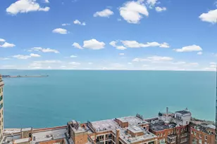 221 E Walton Pl, Chicago, IL 60611 - Photo 26