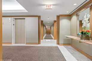 161 E Chicago Ave, Chicago, IL 60611 - Photo 46