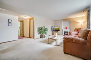 45 Denise Ct, Matteson, IL 60443 - Photo 14