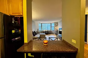 535 N Michigan Ave, Chicago, IL 60611 - Photo 8