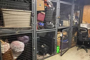 1127 W Farwell Ave, Chicago, IL 60626 - Photo 14