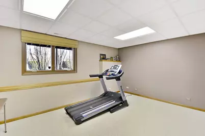 21 N Highview Circle, Hawthorn Woods, IL 60047 - Photo 34