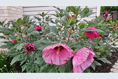 1220 Davey Drive, Batavia, IL 60510 - Photo 72