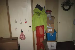 339 Bassett Blvd, Elizabethtown, IL 62931 - Photo 16