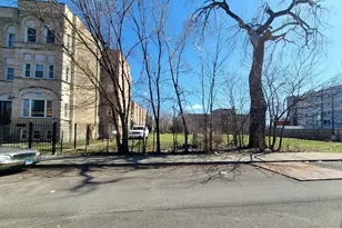 1133 S Richmond St, Chicago, IL 60612 - Photo 1