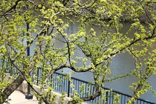 2917 N Claremont Ave, Chicago, IL 60618 - Photo 2