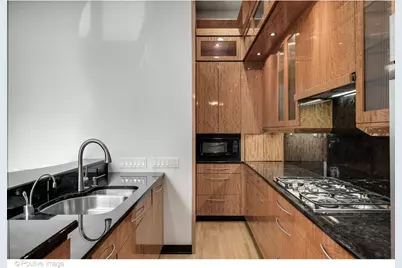 65 W Schiller Street, Chicago, IL 60610 - Photo 12