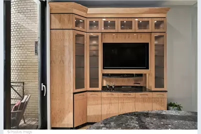 65 W Schiller Street, Chicago, IL 60610 - Photo 14