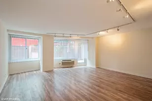 211 E Ohio St, Chicago, IL 60611 - Photo 2