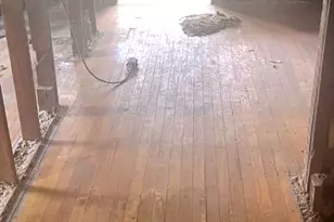 5752 S Paulina St, Chicago, IL 60636 - Photo 12