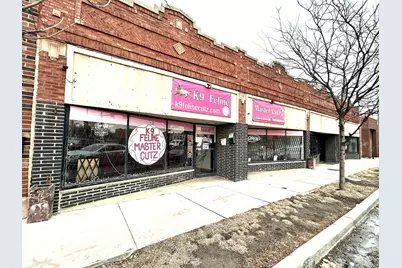 3614 W Division Street, Chicago, IL 60651 - Photo 1