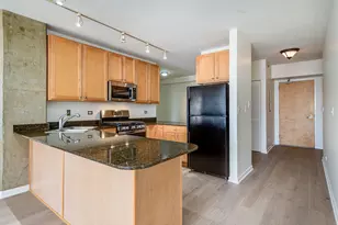 1212 N Wells Ave, Chicago, IL 60610 - Photo 6