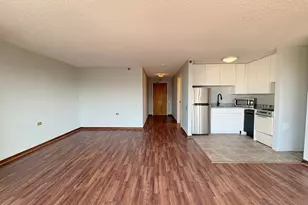 1122 N Clark St, Chicago, IL 60610 - Photo 4