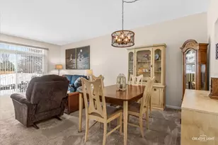 21304 W Douglas Ln, Plainfield, IL 60544 - Photo 6