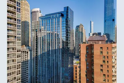 845 N State Street #902, Chicago, IL 60610 - Photo 1