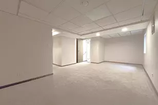 8 E Shag Bark Ln, Streamwood, IL 60107 - Photo 28