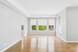 1729 E 67th St, Chicago, IL 60649 - Photo 2