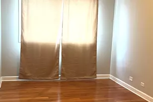 214 W 31st St, Chicago, IL 60616 - Photo 8