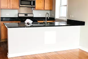 214 W 31st St, Chicago, IL 60616 - Photo 2