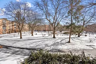 1107 S Old Wilke Rd, Arlington Heights, IL 60005 - Photo 34