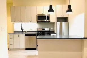 1001 W 16th St, Chicago, IL 60608 - Photo 4