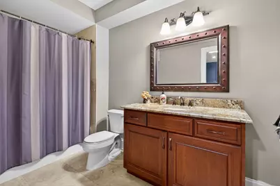 11050 Siena Drive, Frankfort, IL 60423 - Photo 44