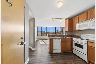 345 E Eastgate Place #204, Chicago, IL 60616 - Photo 4