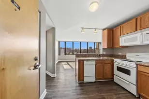 345 E Eastgate Pl, Chicago, IL 60616 - Photo 4