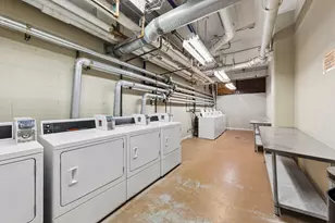 345 E Eastgate Pl, Chicago, IL 60616 - Photo 18