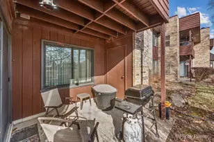 1354 N Sterling Ave, Palatine, IL 60067 - Photo 18