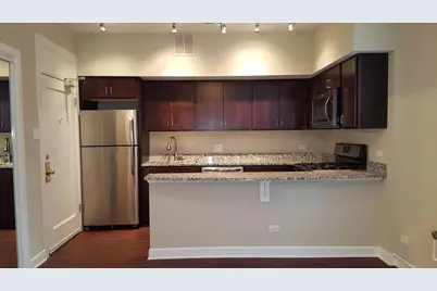 432 W Belmont Avenue #102, Chicago, IL 60657 - Photo 4