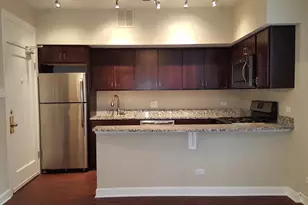 432 W Belmont Ave, Chicago, IL 60657 - Photo 4